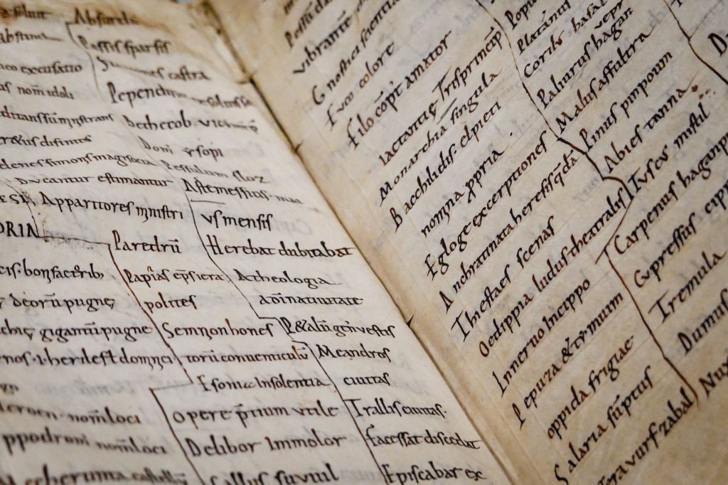 Page d'un manuscrit medieval latin enlumine
